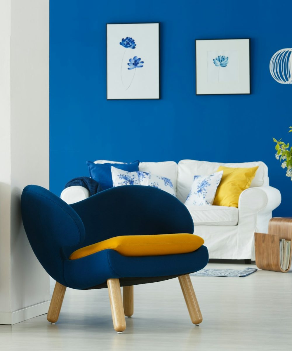 Modern furniture in living room